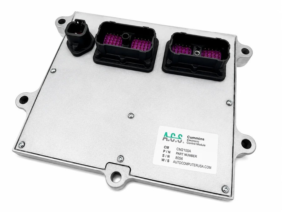 Example automotive electronic module