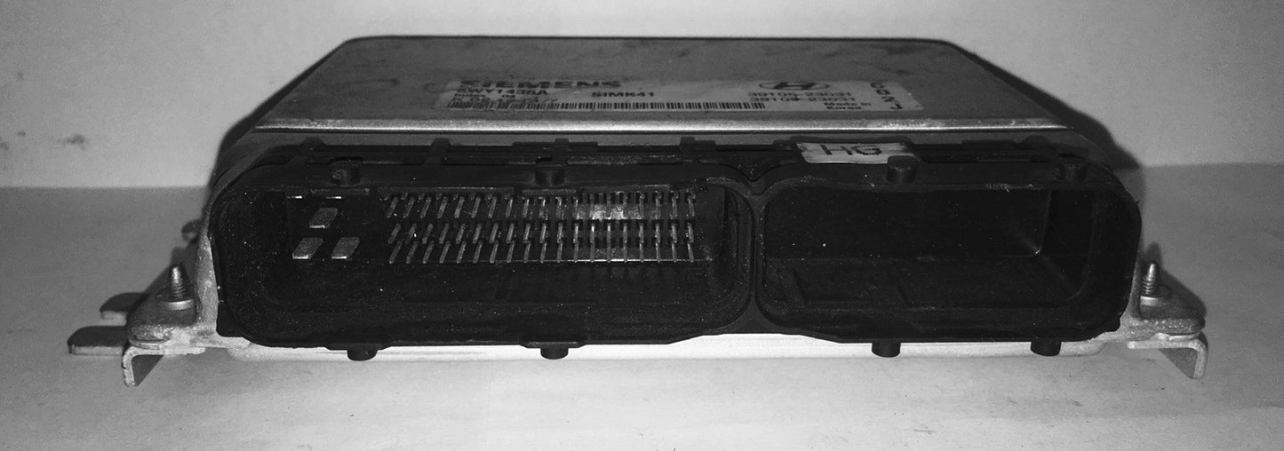 2002 Hyundai Sonata ECU 39105-23031