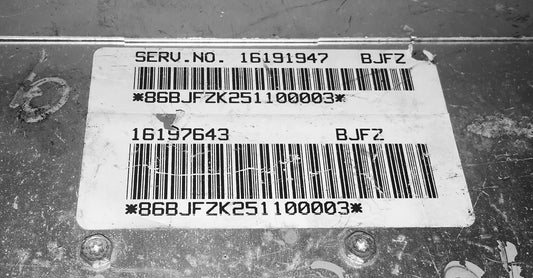 1995 GM ECU 16191947