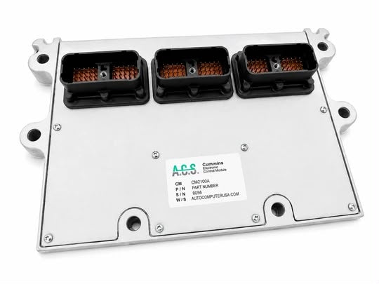 Example automotive electronic module